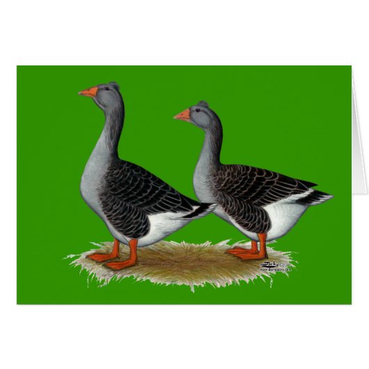 Tufted Toulouse Geese Cards (Front Horizontal)
