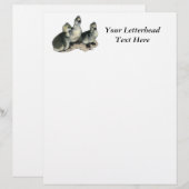 Tufted Toulouse Goslings (Front/Back)