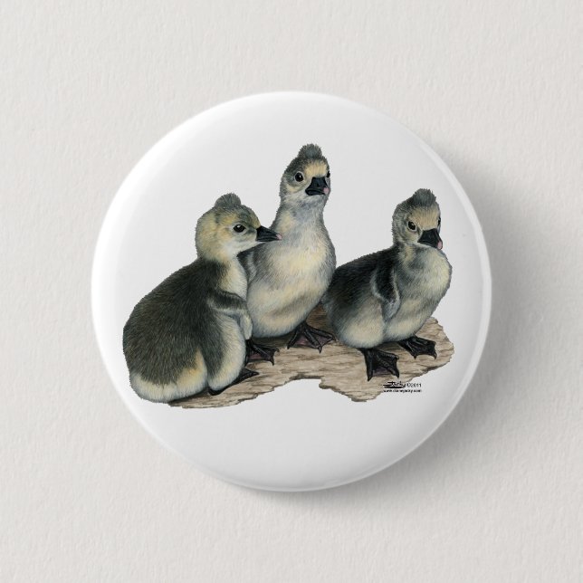 Tufted Toulouse Goslings Pinback Button (Front)