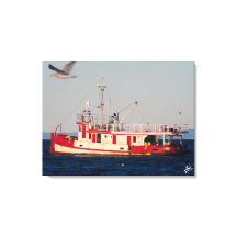 Tug Boat on Mutiny Bay with a bird