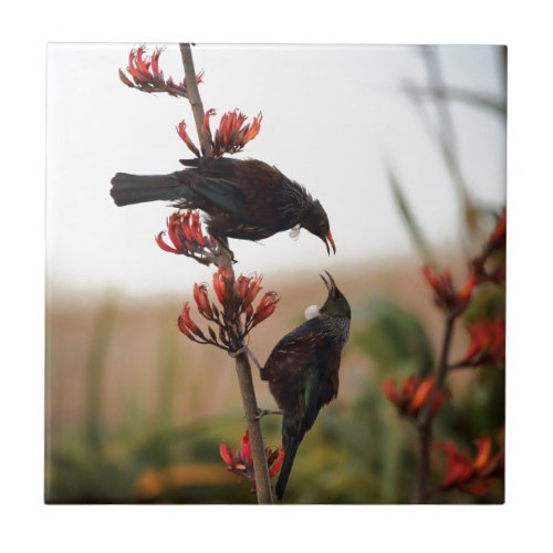 Tui birds on New Zealand flax bush Ceramic Tile