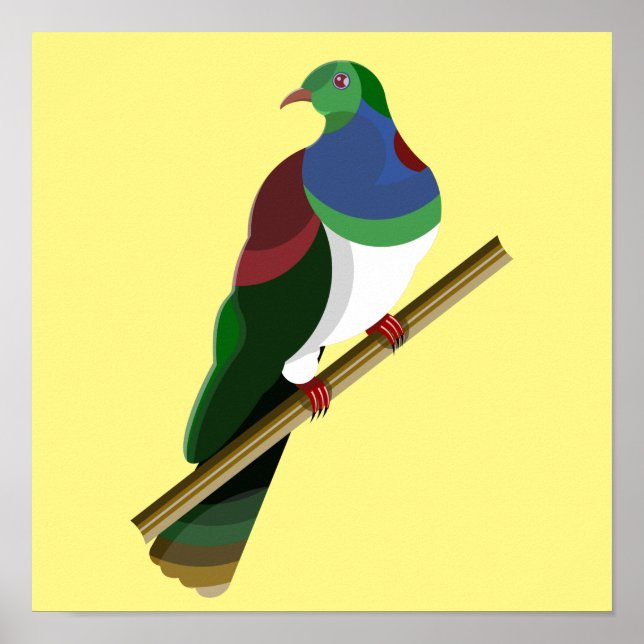 Tui Kereru NZ Bird Poster (Front)