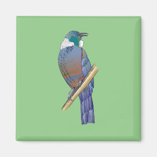 Tui New Zealand Bird Magnet