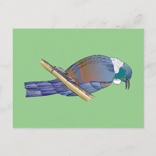 Tui New Zealand Bird Postcard