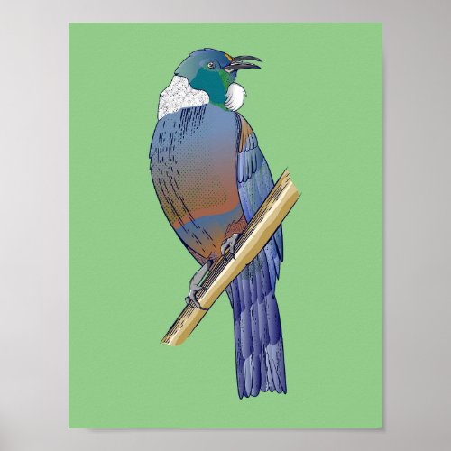 Tui New Zealand Bird Poster