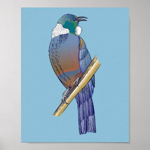 Tui New Zealand Bird Poster