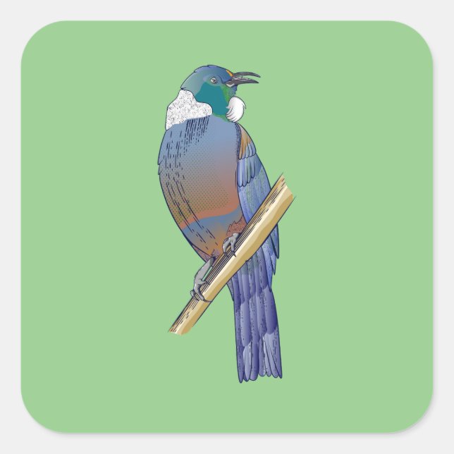 Tui New Zealand Bird Square Sticker (Front)