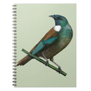 Tui New Zealands Bird Notebook