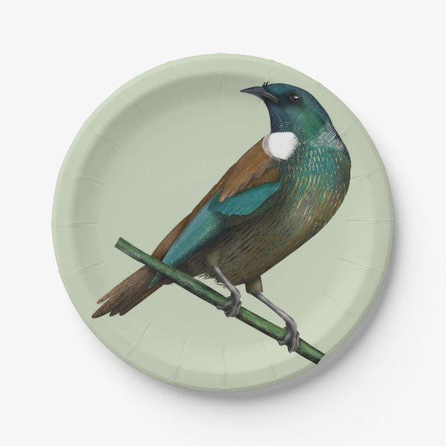 Tui New Zealands Bird Paper Plates (Front)
