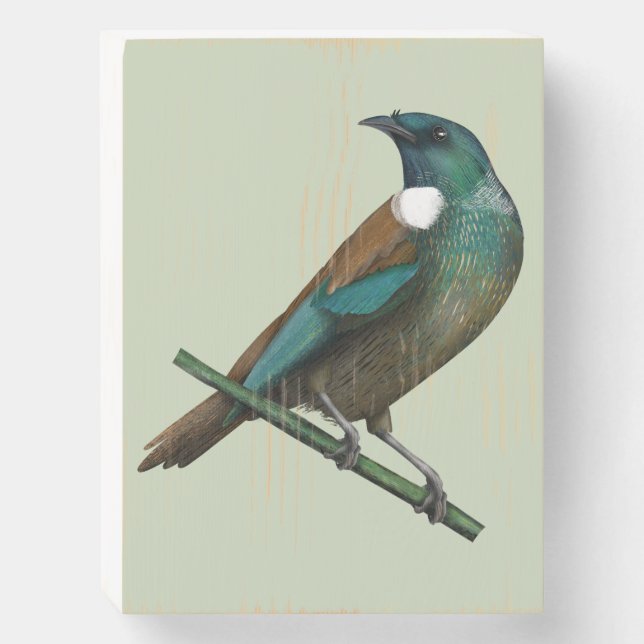 Tui New Zealands Bird Wooden Box Sign (Front Vertical)