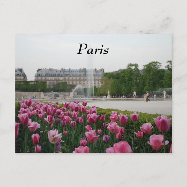 Tuileries Garden in bloom Postcard (Front)