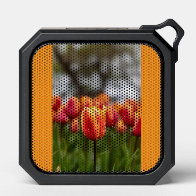 tuilps bluetooth speaker (Front)