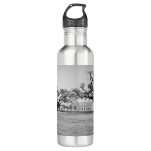 Tulane University from Audubon Park, New Orleans Stainless Steel Water Bottle