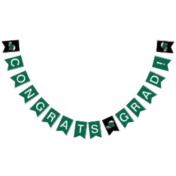 Tulane University Graduate Bunting Flags