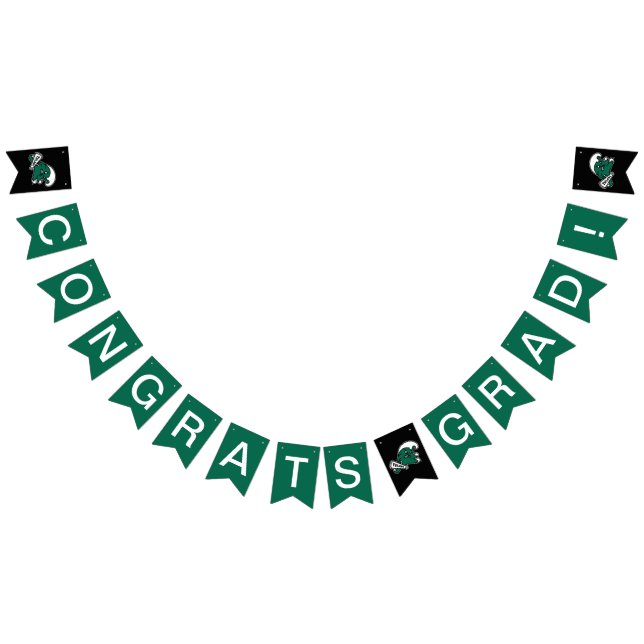 Tulane University Graduate Bunting Flags (All)