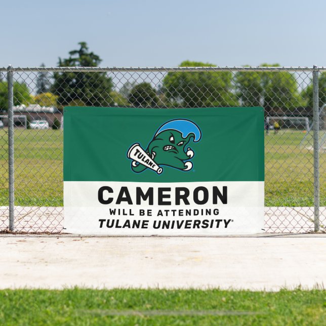 Tulane University Wave Banner (Insitu)