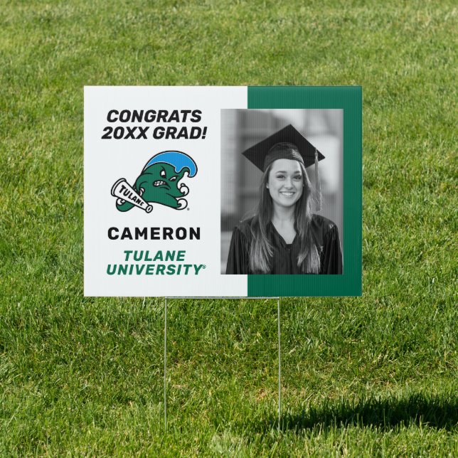 Tulane University Wave Sign (Insitu)
