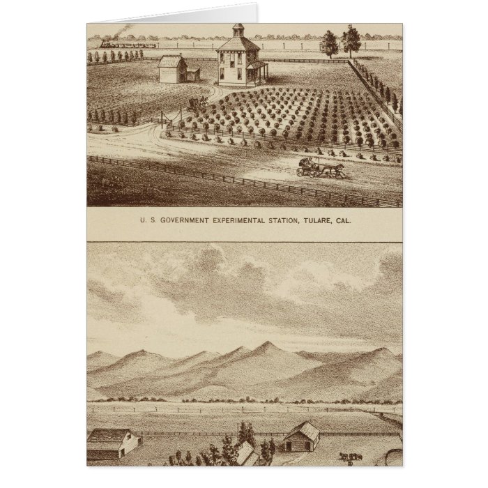 Tulare Co ranch, station Card