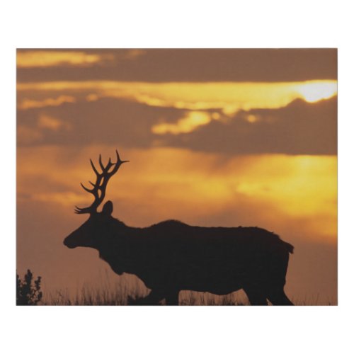 Tule Elk  Point Reyes National Seashore Faux Canvas Print