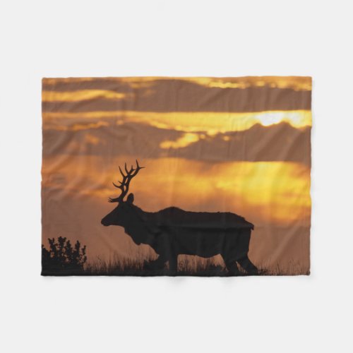 Tule Elk  Point Reyes National Seashore Fleece Blanket