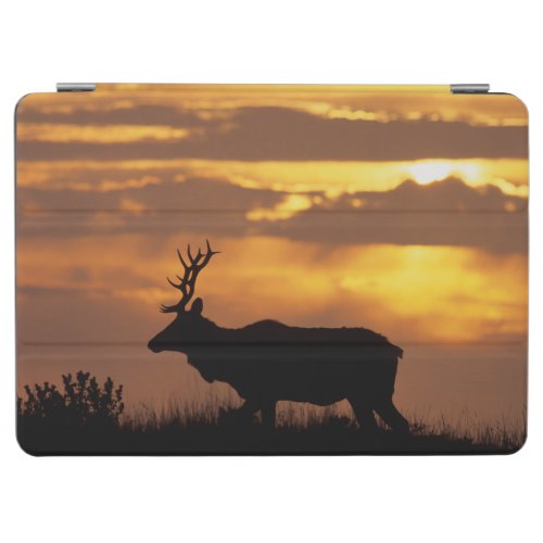 Tule Elk  Point Reyes National Seashore iPad Air Cover