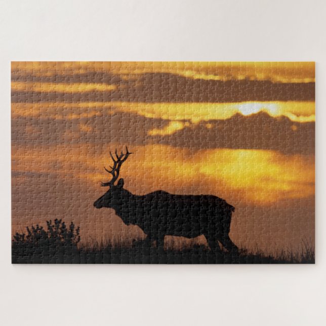 Tule Elk | Point Reyes National Seashore Jigsaw Puzzle (Horizontal)