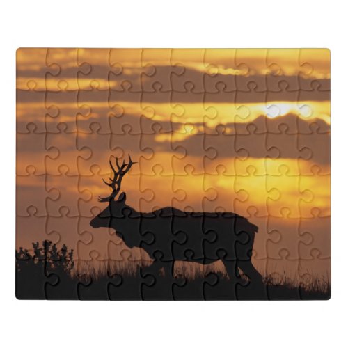 Tule Elk  Point Reyes National Seashore Jigsaw Puzzle