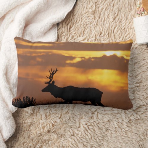 Tule Elk  Point Reyes National Seashore Lumbar Pillow