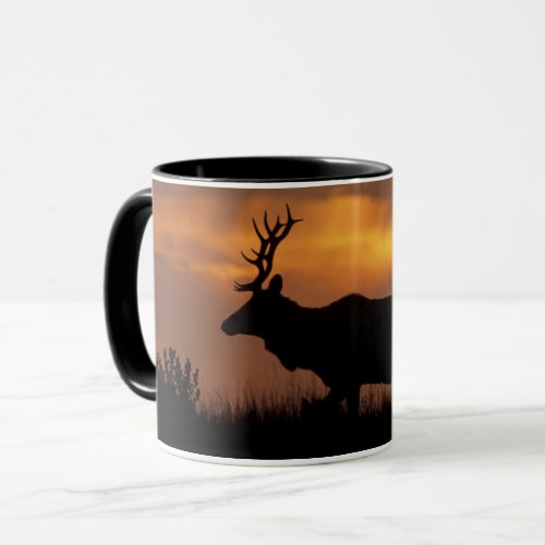 Tule Elk  Point Reyes National Seashore Mug