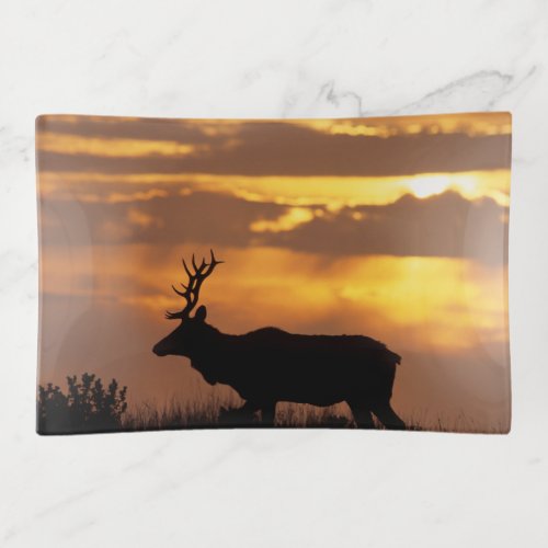 Tule Elk  Point Reyes National Seashore Trinket Tray