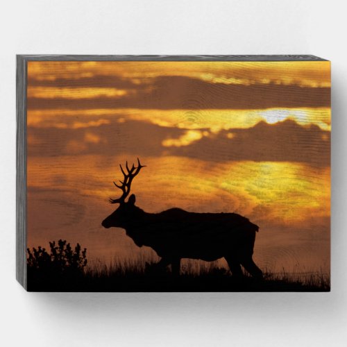 Tule Elk  Point Reyes National Seashore Wooden Box Sign