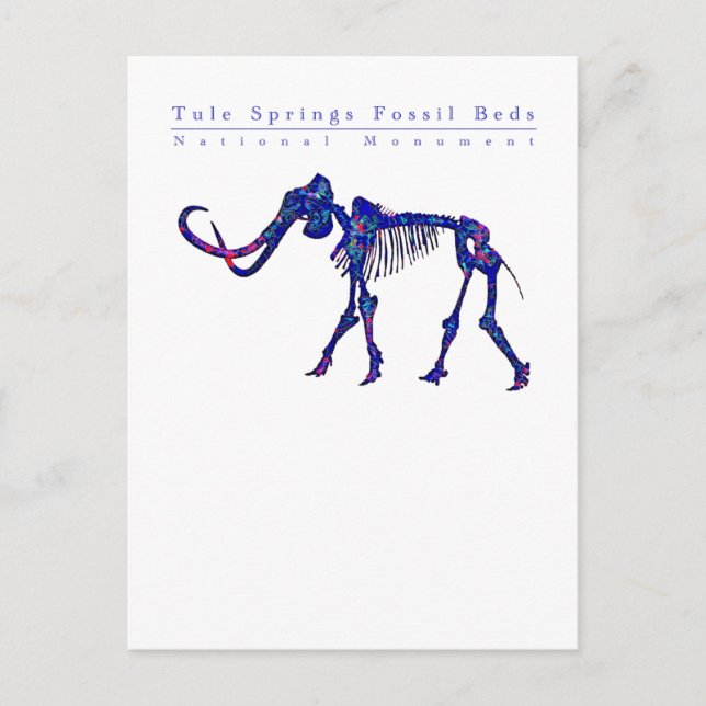 Tule Springs Fossil Beds: all profit donated Postcard (Front)