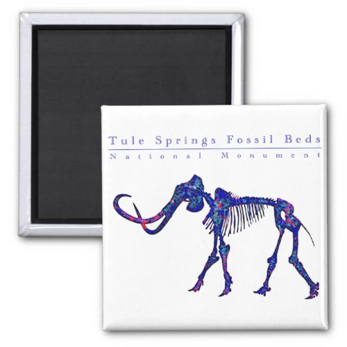 Tule springs fossil beds national monument magnet