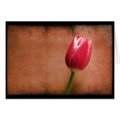 Tulip (Front Horizontal)