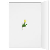 tulip (Inside (Left))