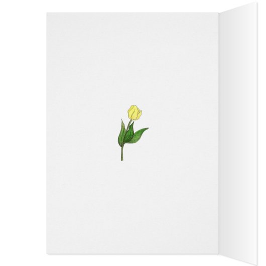 tulip (Inside (Left))