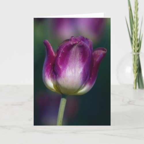 Tulip01 Card