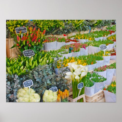 Tulip and Flower Market in Amsterdam Poster
