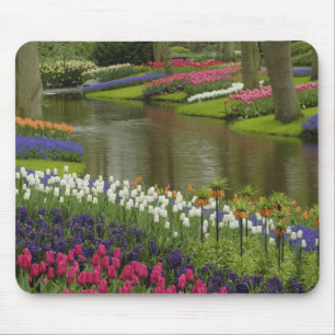 Tulip and hyacinth garden, Keukenhof Gardens, 2 Mouse Pad