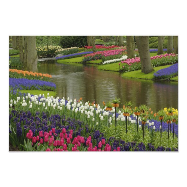 Tulip and hyacinth garden, Keukenhof Gardens, 2 Photo Print (Front)