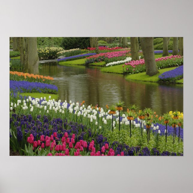Tulip and hyacinth garden, Keukenhof Gardens, 2 Poster (Front)