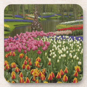 Tulip and hyacinth garden, Keukenhof Gardens, Beverage Coaster