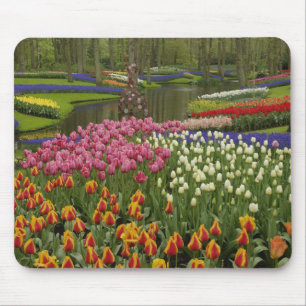 Tulip and hyacinth garden, Keukenhof Gardens, Mouse Pad