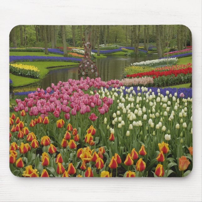 Tulip and hyacinth garden, Keukenhof Gardens, Mouse Pad (Front)