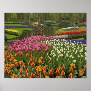 Tulip and hyacinth garden, Keukenhof Gardens, Poster
