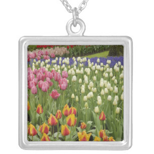Tulip and hyacinth garden, Keukenhof Gardens, Silver Plated Necklace