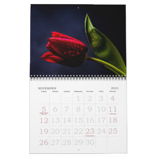 Tulip Beautiful Holland Floral Calendar