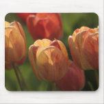 Tulip Blossoms Mouse Pad