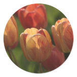 Tulip Blossoms Stickers