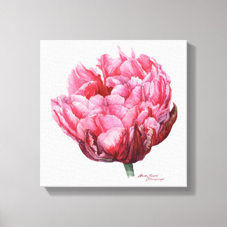 Tulip. Botanical watercolor Canvas Print